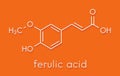 Ferulic acid herbal antioxidant molecule. Skeletal formula.