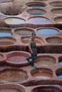 Fes, Morocco - male worker walks across stone vessels with colored dyes at Chouara Tannery in Fes el Bali.