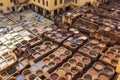 Men working in the leather tanneries in Fes, Morocco. Royalty Free Stock Photo