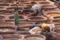 Men working in the leather tanneries in Fes, Morocco.