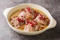 Fesenjan is a simple slowly cooked Iranian stew featuring ground walnuts, pomegranate molasses and chicken thighs close-up in a