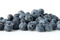 Fesh blueberries