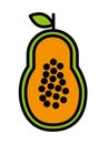 fesh fruit papaya isolated icon design