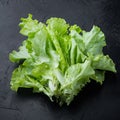 Fesh green lettuce salad leaves, on black background