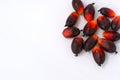 Fesh palm oil seed