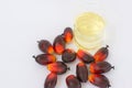 Fesh palm oil seed Royalty Free Stock Photo