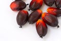 Fesh palm oil seed Royalty Free Stock Photo