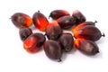 Fesh palm oil seed Royalty Free Stock Photo