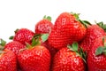 Fesh strawberries