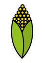 fesh vegetable corn isolated icon design