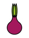 fesh vegetable onion isolated icon design