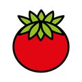 fesh vegetable tomato isolated icon design