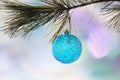 Blue Christmas ball hanging on pine tree branch Royalty Free Stock Photo