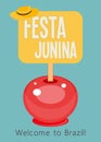 Festa Junina - Brazil Festival Royalty Free Stock Photo