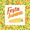 Festa Junina - Brazil Midsummer festival