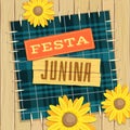 Festa Junina, brazilian june fest theme