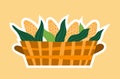 Festa Junina corns basket icon Royalty Free Stock Photo