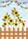 Festa junina with fence and sunflowers garden