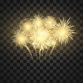 Festival firework. Colorful fireworks holiday background. Vector illustration isolated on dark background Royalty Free Stock Photo