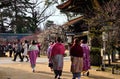 Festival of Japanese apricot flower in Kyoto, Japan Royalty Free Stock Photo