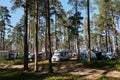 Festival of mobile homes in coniferous forest. There are many different cars for traveling, trailers and minivans