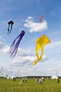 Festival `Moscow sky` in the Moscow region. People run colorful kites