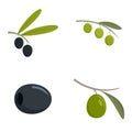 Festival olives oil icon set, flat style