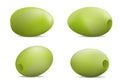 Festival olives oil icon set, realistic style