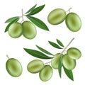 Festival olives oil icon set, realistic style