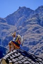 Festival- Peru