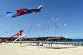 Festival of the Winds, Bondi Beach Sydney