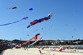 Festival of the Winds, Bondi Beach Sydney