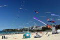 Festival of the Winds, Bondi Beach Sydney