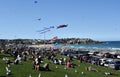 Festival of the Winds, Bondi Beach Sydney