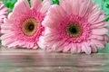 Festive arrangement of a bouquet of gerberas on a hard surface