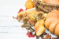 Festive autumn decor from pumpkins, berries and leaves on a white wooden background. Concept of Thanksgiving day or Halloween. Royalty Free Stock Photo