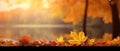 Festive autumn and Happy Thanksgiving decor from pumpkins, berries and leaves. Ai Generated Royalty Free Stock Photo