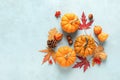 Festive autumn pumpkins decor with fall leaves, berries, nuts on blue background. Thanksgiving day or halloween holiday, harvest