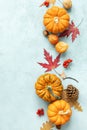 Festive autumn pumpkins decor with fall leaves, berries, nuts on blue background. Thanksgiving day or halloween holiday, harvest Royalty Free Stock Photo