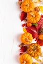 Festive autumn pumpkins decor with fall leaves, berries, nuts on white background. Thanksgiving day or halloween holiday, harvest Royalty Free Stock Photo