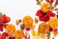 Festive autumn pumpkins decor with fall leaves, berries, nuts on white background. Thanksgiving day or halloween holiday, harvest Royalty Free Stock Photo