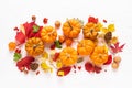 Festive autumn pumpkins decor with fall leaves, berries, nuts on white background. Thanksgiving day or halloween holiday, harvest Royalty Free Stock Photo