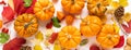 Festive autumn pumpkins decor with fall leaves, berries, nuts on white background. Thanksgiving day or halloween holiday, harvest Royalty Free Stock Photo