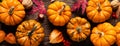 Festive autumn pumpkins decor with fall leaves, berries, nuts on white background. Thanksgiving day or halloween holiday, harvest Royalty Free Stock Photo