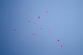 Festive background balloon. Bright red, pink and purple air balloons rise in the cloudy blue sky.