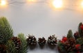 Festive background composition with snow covered red holly berries  fir tree branches and cones on white background Royalty Free Stock Photo