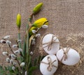 Festive background for Easter spring bouquet and eggs