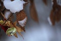 Festive background outdoors with a Christmas bell Royalty Free Stock Photo