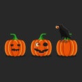Festive banner. Three juicy pumpkins with and without a carved face. Raven keeps an eye. Vector illustration on the holiday