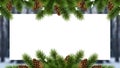 Christmas Border Frame with Green Pine Branches and Natural Pine Cones on White Background with Winter Forest Blur Royalty Free Stock Photo